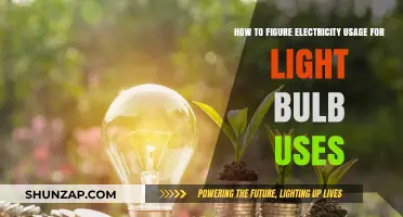 Shedding Light on Energy Efficiency: Calculating Electricity Usage for Light Bulbs
