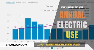 Decoding Your Annual Electric Use: A Simple Guide