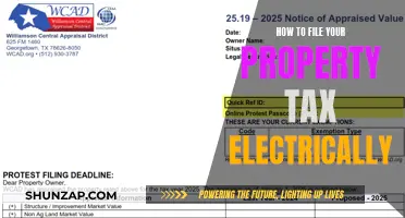Filing Property Tax: An Easy Electric Guide