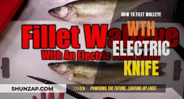 Filleting Walleye: Electric Knife Precision
