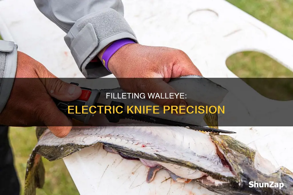 how to filet walleye wth electric knife
