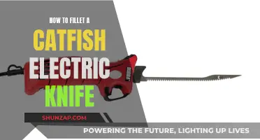 Filleting Catfish: Electric Knife Precision