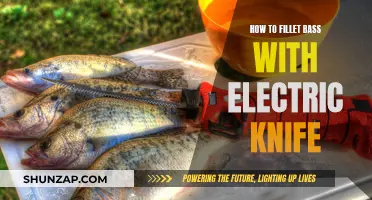 Filleting Bass: Electric Knife Techniques and Tips