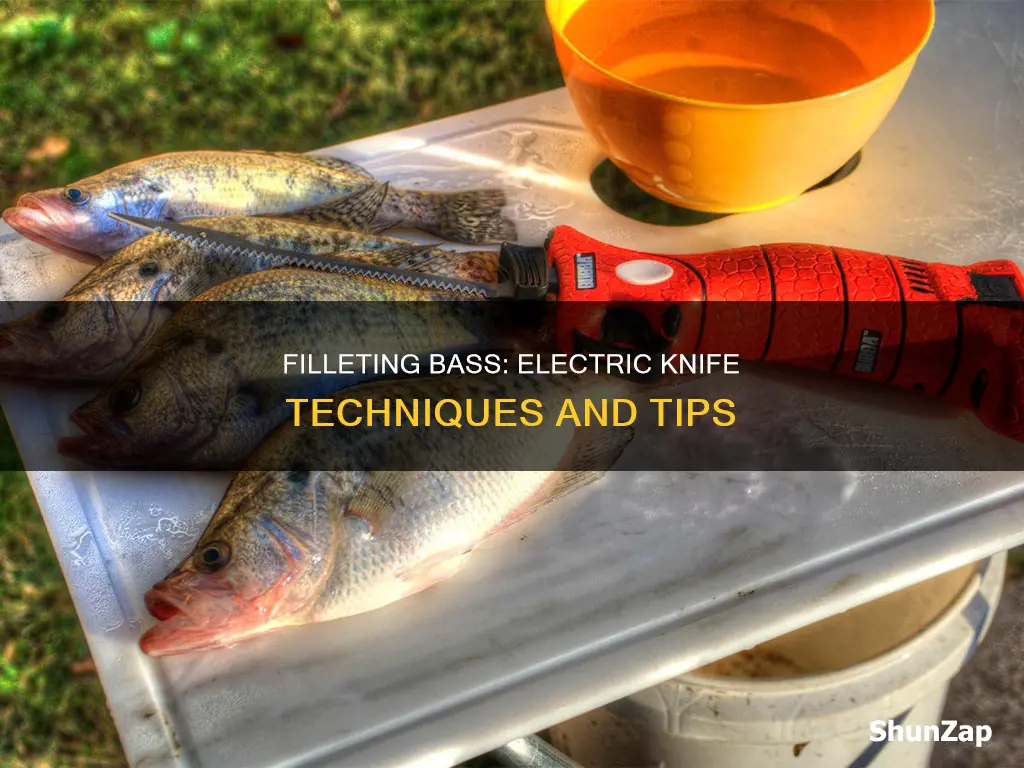 how to fillet bass with electric knife