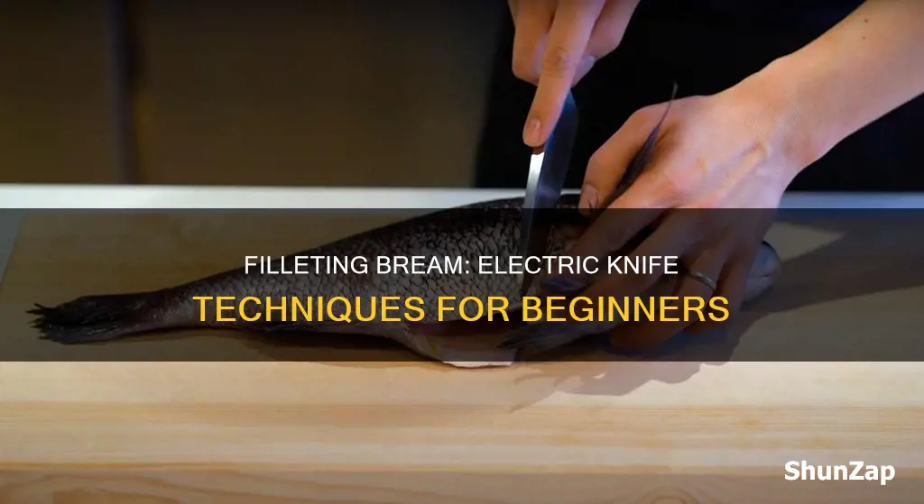 how to fillet bream with electric knife