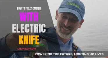 Filleting Catfish: Electric Knife Technique for Beginners