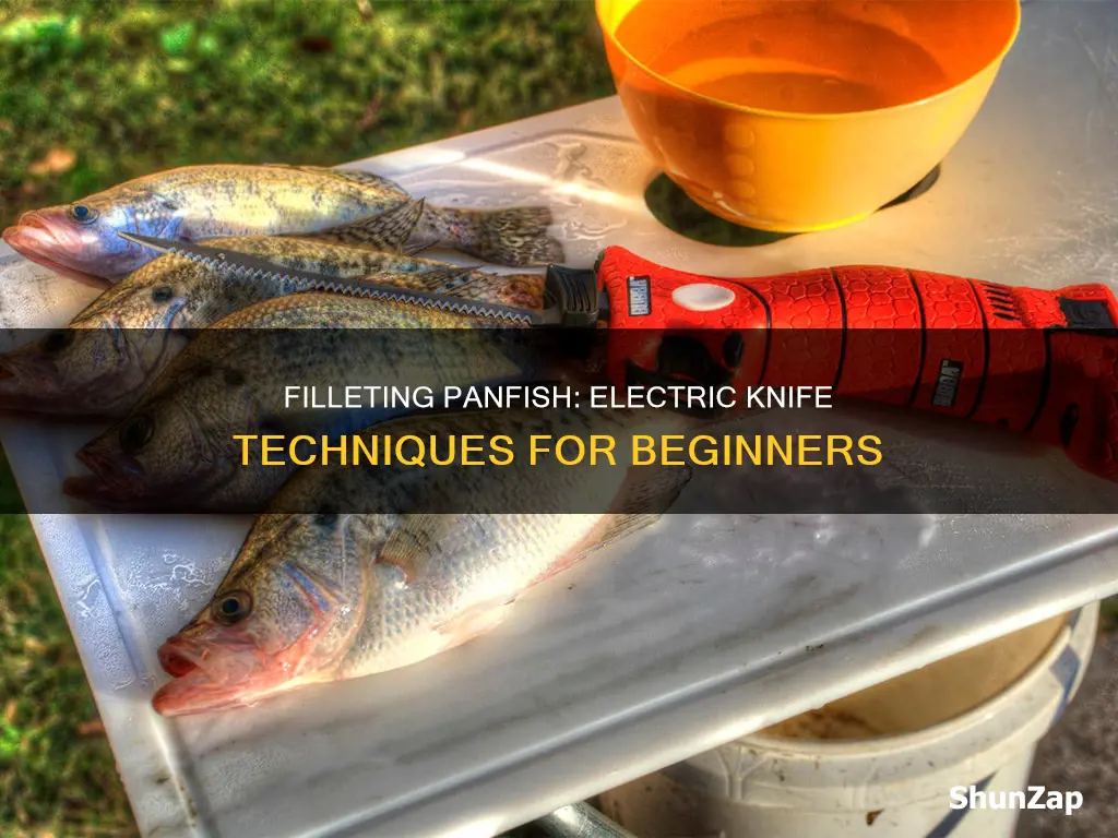 how to fillet panfish with electric knife