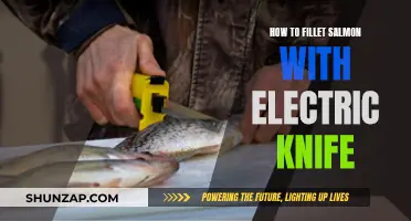 Filleting Salmon: Electric Knife Techniques for Beginners