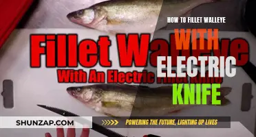Filleting Walleye: Electric Knife Techniques for Beginners