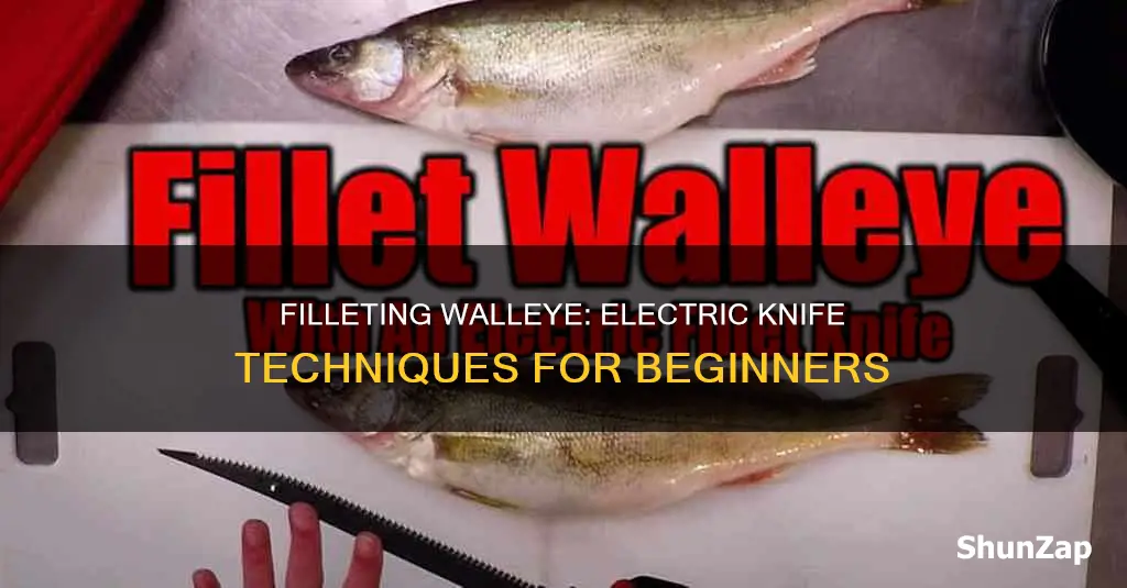 how to fillet walleye with electric knife
