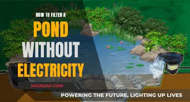 Natural Pond Filtration: No Electricity, No Problem