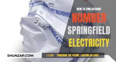 Locating Your Springfield Electricity Account Number