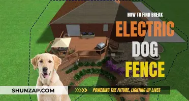 Breaking the Electric Dog Fence: Strategies for Success