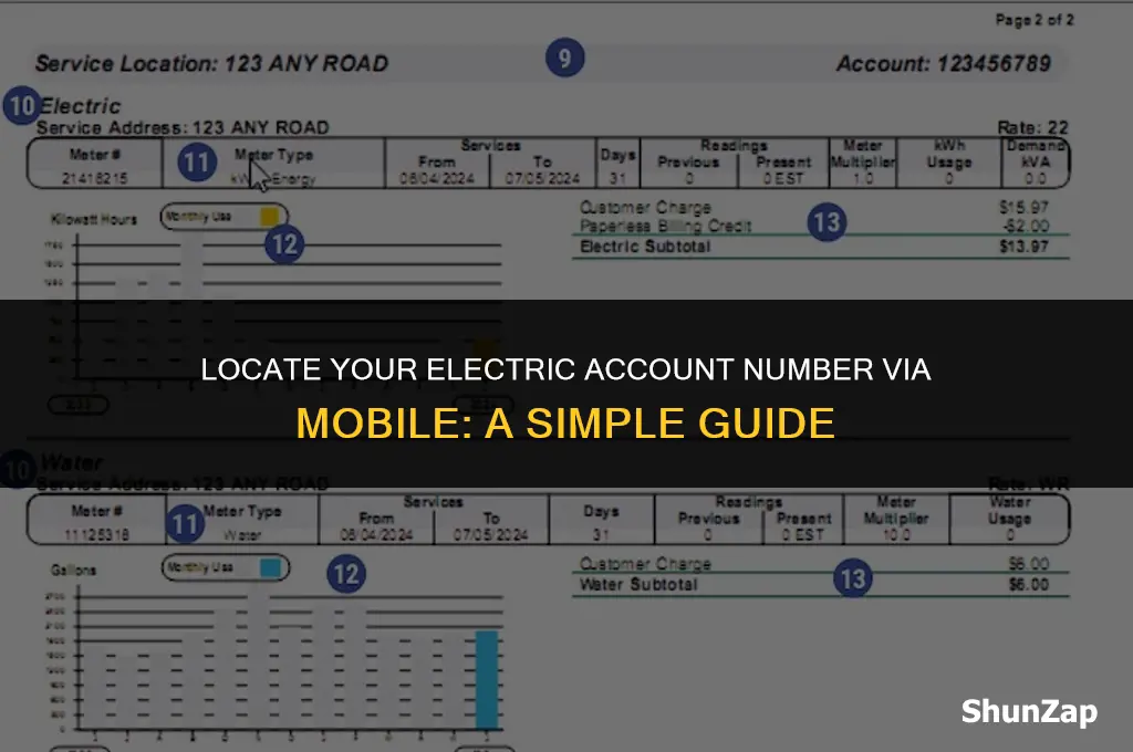 how to find electric account number using mobile number