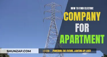 Choosing the Right Electric Company for Your Apartment