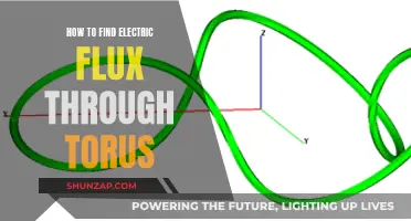 Understanding Electric Flux Through a Torus