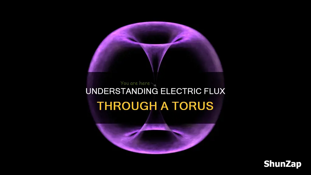how to find electric flux through torus