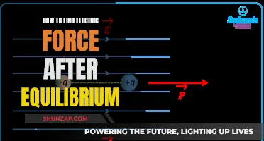 Understanding Electric Force: Post-Equilibrium Analysis