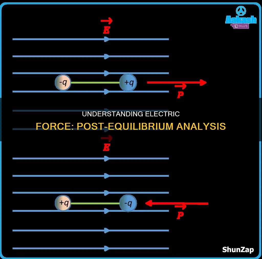 how to find electric force after equilibrium