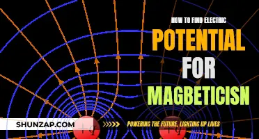 Understanding Electric Potential in Magnetic Fields