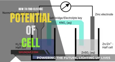 Understanding Cell Electric Potential: A Step-by-Step Guide
