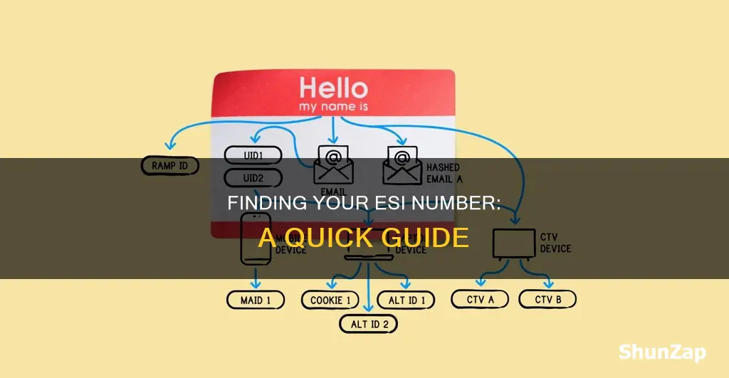 how to find electric service delivery identifier