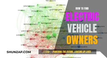 Unveiling the Electric Vehicle Community: Strategies to Identify Owners