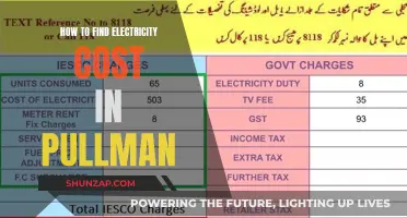 Electricity Costs in Pullman: Understanding Your Bill
