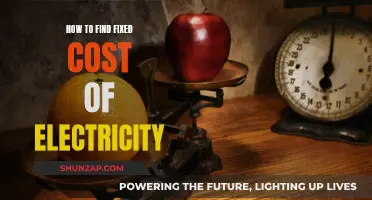 Finding the True Cost of Electricity