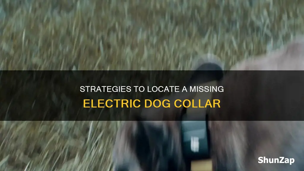 how to find lost electric dog collar