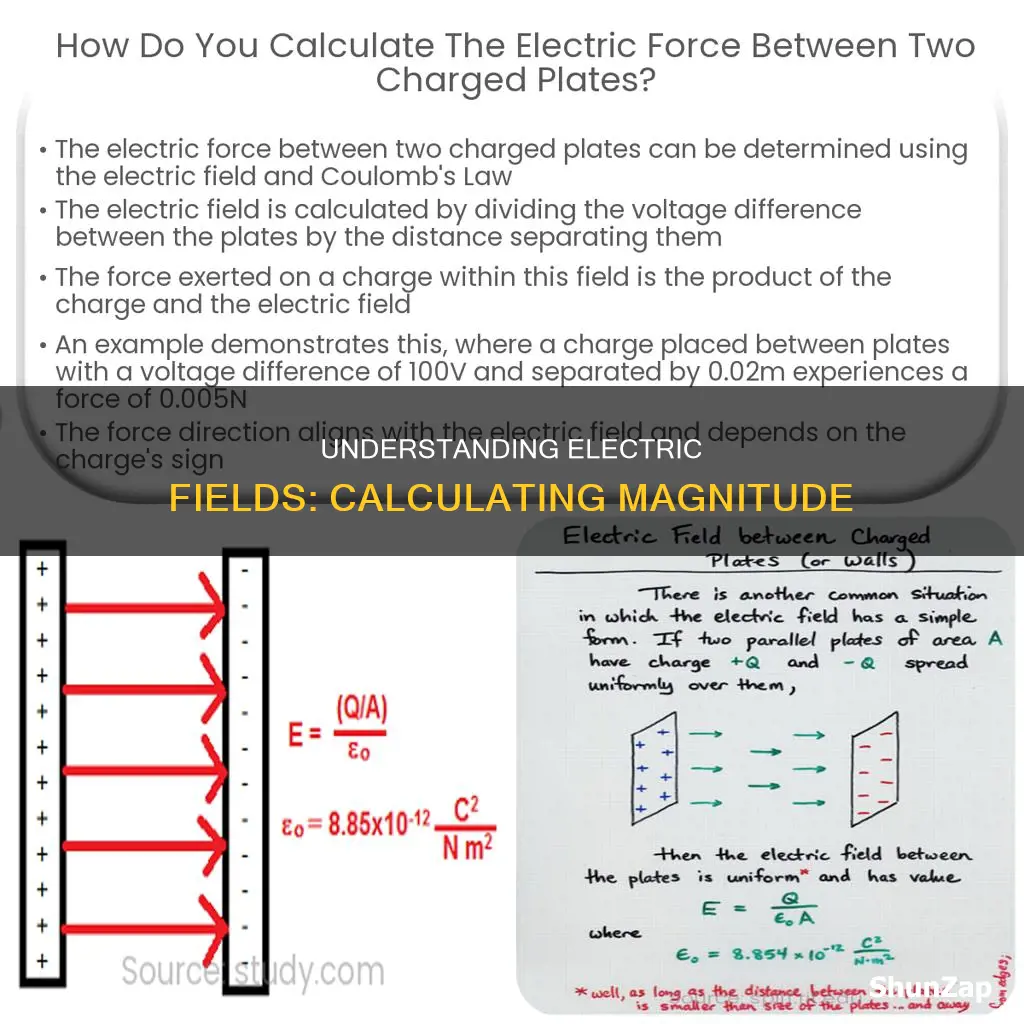 how to find magnitude of electric fielf