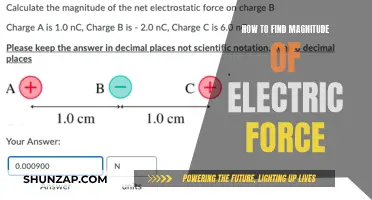 Understanding Electric Force: Calculating the Magnitude and Its Impact