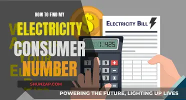 Finding Your Electricity Consumer Number: A Quick Guide