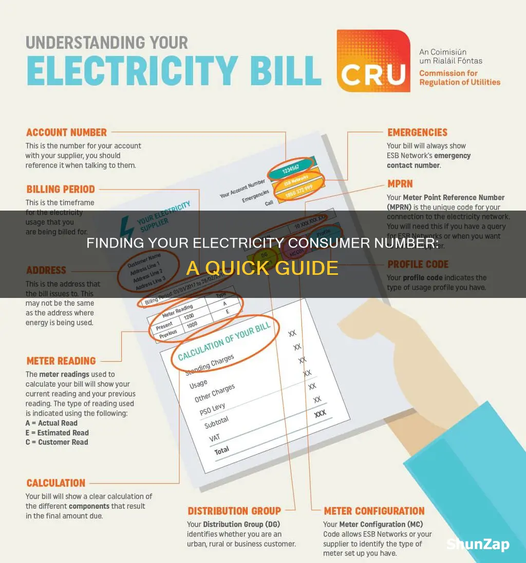 how to find my electricity consumer number