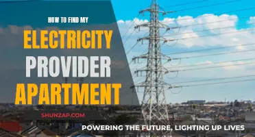 Finding Your Electricity Provider in a New Apartment