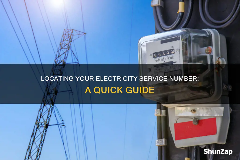 how to find my electricity service number