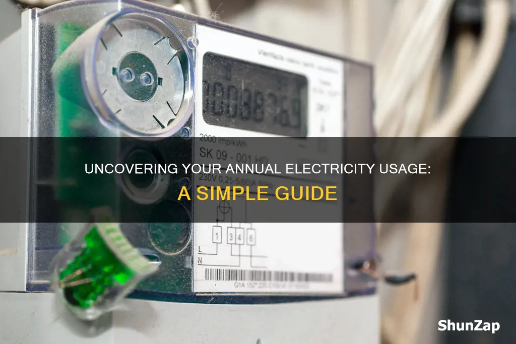 how to find out annual electricity usage