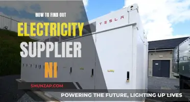 Switching Electricity Supplier in Northern Ireland: Who's Your Provider?