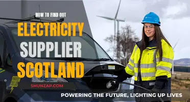 Who Supplies Your Electricity in Scotland?