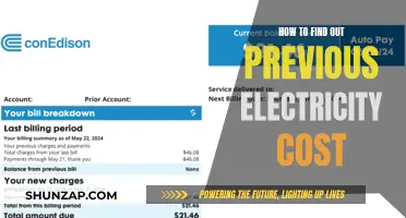 Uncovering Past Electricity Costs: A Guide to Historical Billing