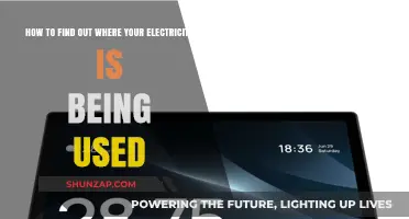 Uncover Your Home's Energy Secrets: A Guide to Tracking Electricity Usage