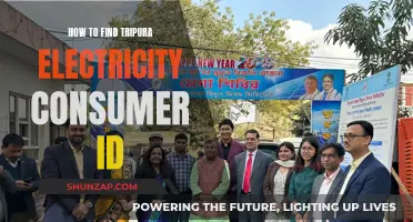 Finding Your Tripura Electricity Consumer ID: A Quick Guide