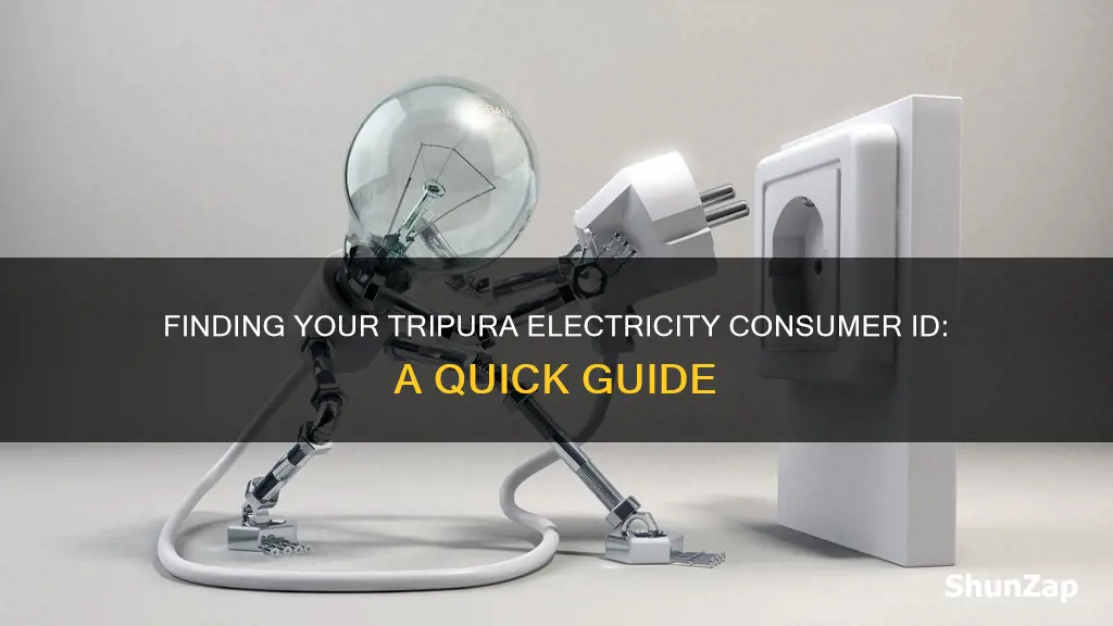 how to find tripura electricity consumer id