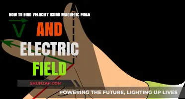 Exploring Motion: How Magnetic and Electric Fields Reveal Velocity