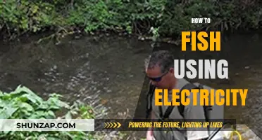 Electrifying Catches: The Shocking Truth About Electric Fishing