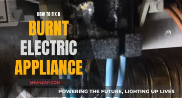 Electric Appliance Repair: Fixing a Burned-Out Device