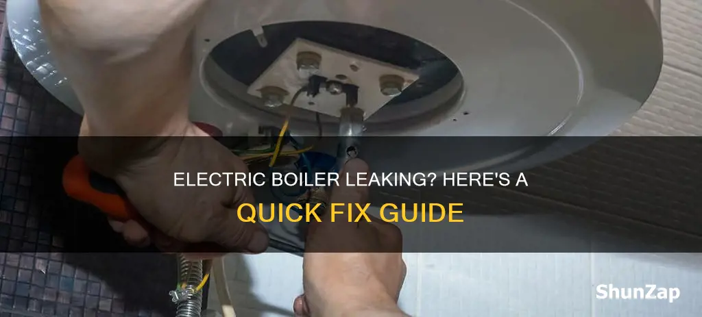 how to fix a leaking electric boiler