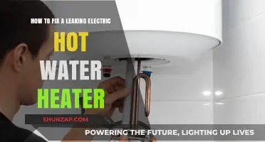 Troubleshooting and Repairing a Leaky Electric Hot Water Heater