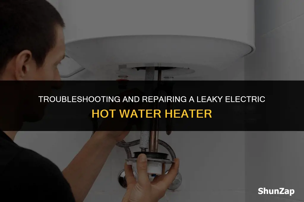 how to fix a leaking electric hot water heater