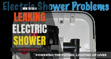 Electric Shower Leaks: Quick DIY Fixes